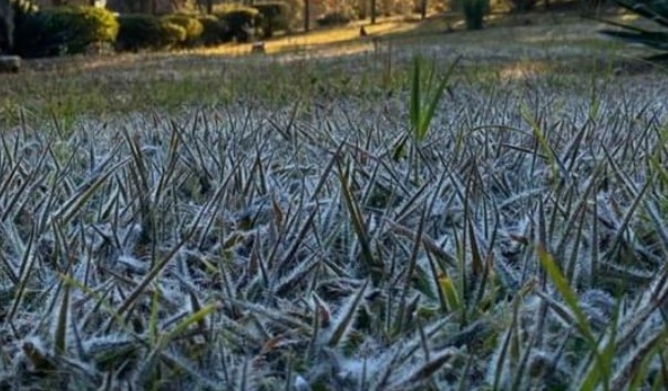 Sul de Minas registra menores temperaturas do estado nesta sexta-feira (2)