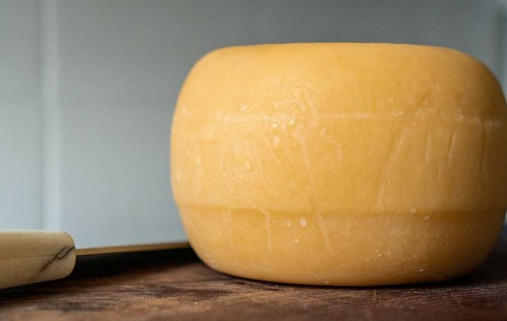 Concurso estadual escolhe melhor Queijo Minas Artesanal; veja qual foi o vencedor