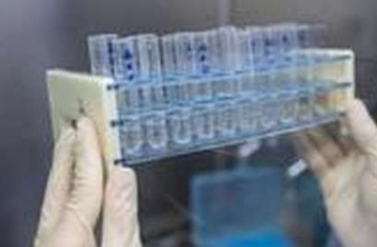 Anvisa libera testes de vacina contra COVID-19 em MG, Distrito Federal e outros três estados