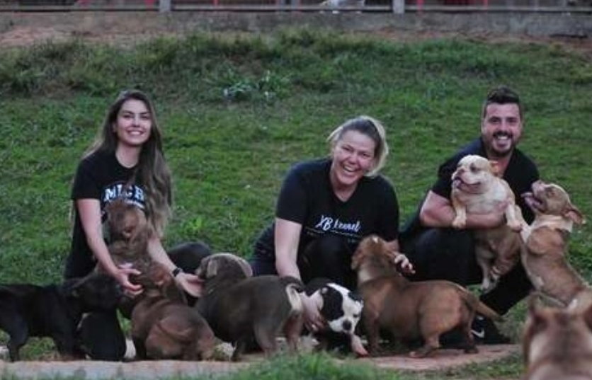 Animais de estimação são companheiros de quarentena