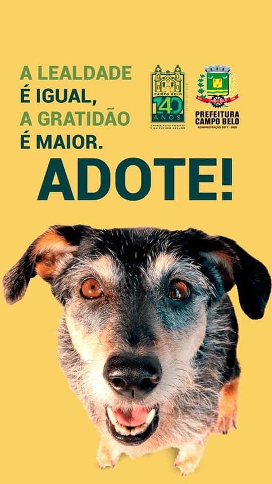 CAMPO BELO É EXEMPLO NA POLÍTICA DA CAUSA ANIMAL