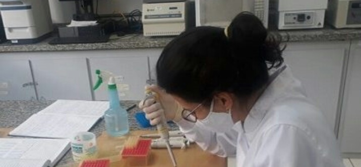 Grupo de pesquisadores monitora a circulação de SARS-CoV-2 no Sul de Minas