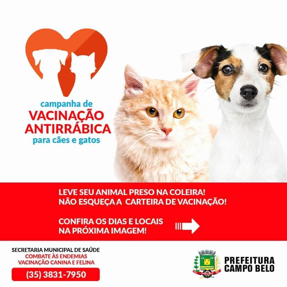 Começa hoje a campanha de vacinação antirrábica para cães e gatos. 
