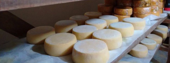 Minas Láctea “Inovação e Gourmet” terá exposição de queijos artesanais promovida pelo Sebrae-MG
