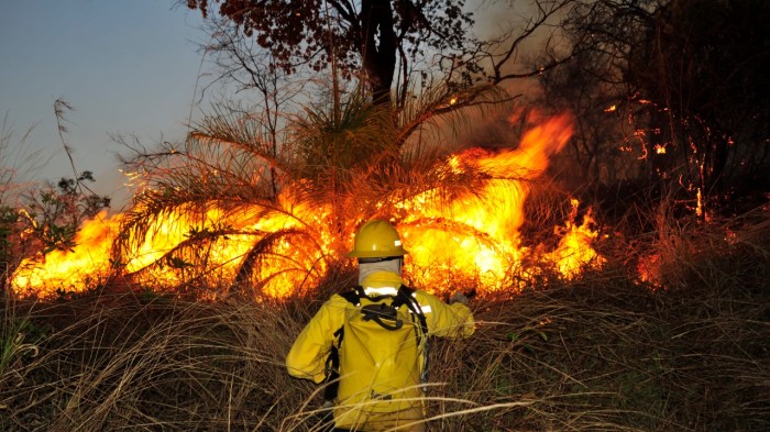 Governo de Minas intensifica ações para coibir incêndios criminosos