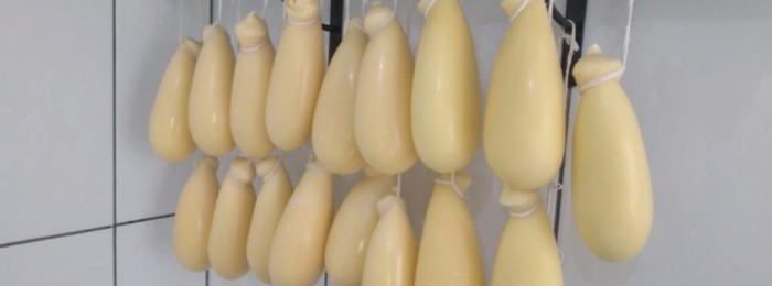 Queijo Cabacinha passa a ser patrimônio cultural e imaterial de Minas 