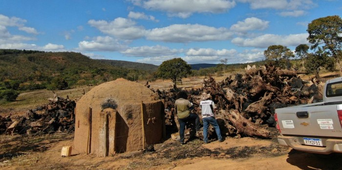 Operação contra o desmatamento no Vale do Jequitinhonha fiscaliza áreas de transição de Cerrado e Mata Atlântica
