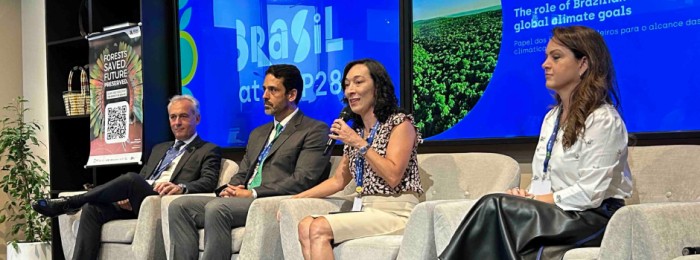 Na COP28, Governo de Minas debate papel dos estados brasileiros para o alcance das metas climáticas
