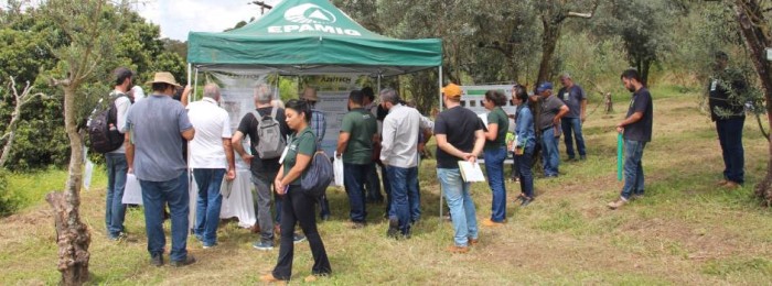 Epamig anuncia data oficial do Azeitech 2024