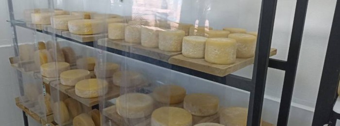 Pesquisadores mineiros finalizam projeto de caracterização dos queijos artesanais das Serras da Ibitipoca