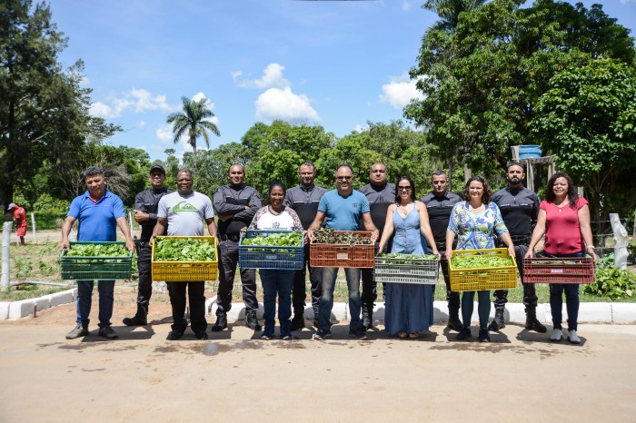 Cem toneladas de verduras plantadas em presídios beneficiam 184 instituições filantrópicas em Minas Gerais