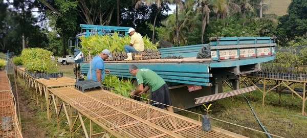 Minas avança em ações de gestão florestal, conservação e restauração ambiental em 2023