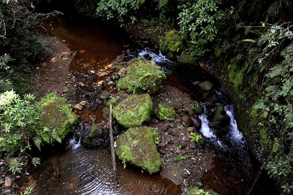 Estado amplia área de proteção ambiental da Estação Ecológica de Fechos