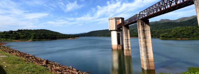 Reparação ambiental: conheça ações previstas no Acordo de Reparação ao rompimento das barragens da Vale, em Brumadinho