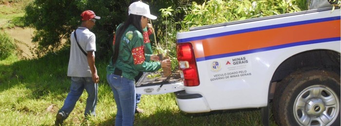 Plano Estratégico de Análise e municipalização do CAR vão impulsionar a regularização ambiental de imóveis rurais em MG