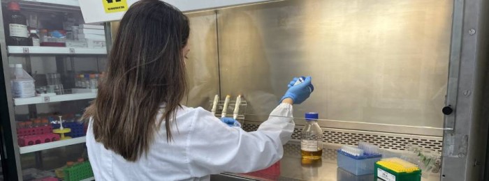 Ideias inovadoras tornam setor público e privado mais atrativos em Minas e alavancam desenvolvimento