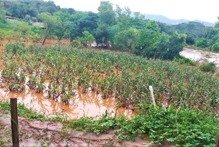Garantia-Safra será pago para mais de 35 mil agricultores em Minas a partir deste mês
