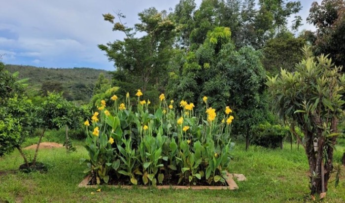 Emater-MG incentiva uso de tecnologias de saneamento rural de baixo custo