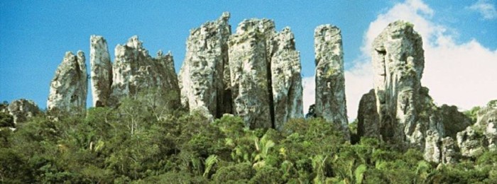 Cartilha apresenta a biodiversidade do Parque Estadual de Sete Salões