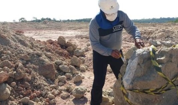 Bloco de arenito de 700 kg com fósseis de dinossauros é encontrado em Uberaba