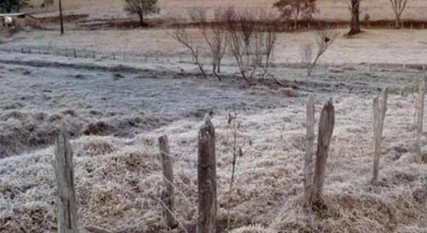 Alerta de geada atinge 22 cidades de Minas Gerais: veja lista